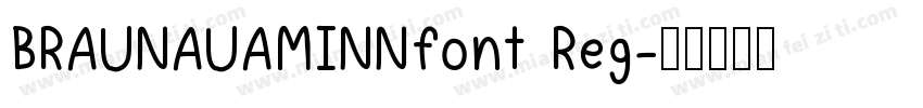 BRAUNAUAMINNfont Reg字体转换